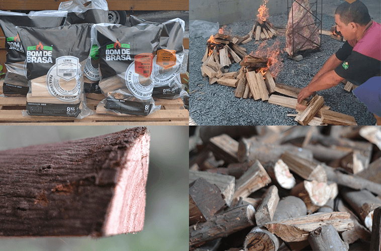 Logs ou Mini Logs, as toras de madeira